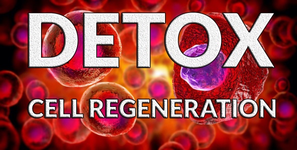 Detox Cell Regeneration Info Meeting